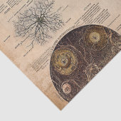 Vintage Pilz-Botanik-Chart (2) Seidenpapier (Detail)