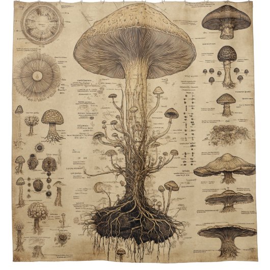 Vintage-Pilz-Botanik-Chart (5) Duschvorhang (Vorderseite)