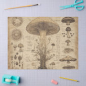 Vintage-Pilz-Botanik-Chart (5) Seidenpapier (Basteln)