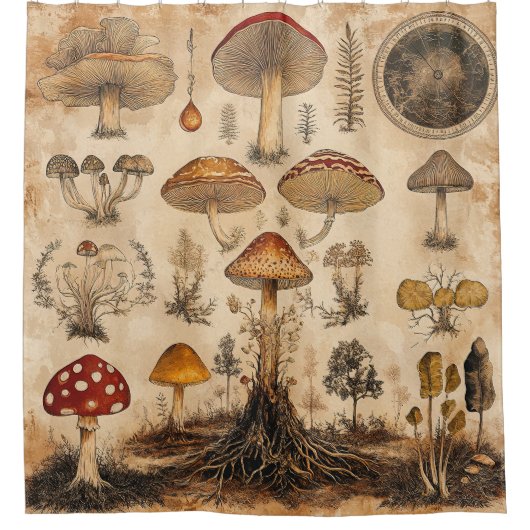Vintage-Pilz-Botanik-Chart (6) Duschvorhang (Vorderseite)