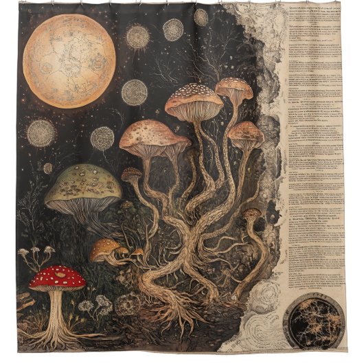 Vintage-Pilz-Botanik-Chart (7) Duschvorhang (Vorderseite)