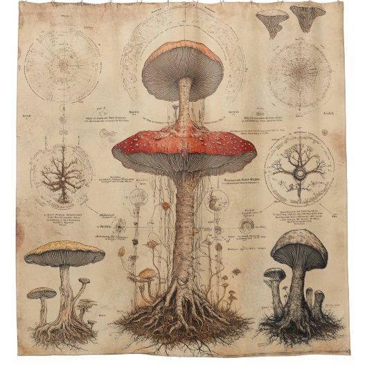 Vintage Pilz-Botanik-Chart (8) Duschvorhang (Vorderseite)