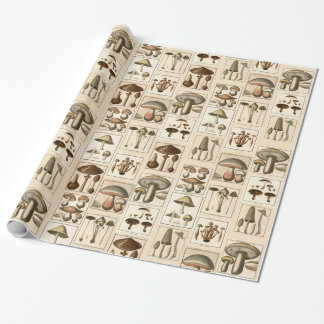 Vintage-Pilz-Botanikdrucke Geschenkpapier