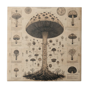 Vintage Pilz-Botanikkarte (10) Fliese