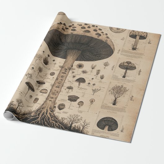 Vintage Pilz-Botanikkarte (10) Geschenkpapier (Ungerollt)