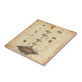 Vintage Pilz-Botanikkarte (12) Fliese (Seite)