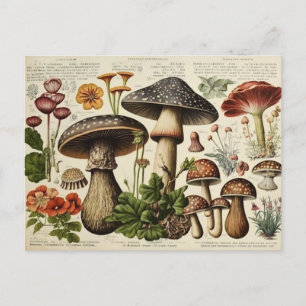 Vintage Pilz Cottagecore Decoupage Postkarte