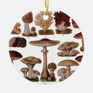 Vintage Pilz-Familien-botanischer Druck Keramikornament