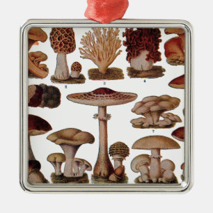 Vintage Pilz-Familien-botanischer Druck Silbernes Ornament