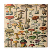 Vintage Pilz-Führer-Fliese Fliese (Vorderseite)