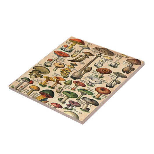 Vintage Pilz-Führer-Fliese Fliese (Seite)