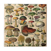 Vintage Pilz-Führer-Fliese Fliese (Vorderseite)