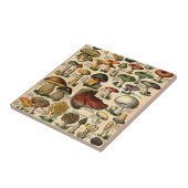 Vintage Pilz-Führer-Fliese Fliese (Seite)