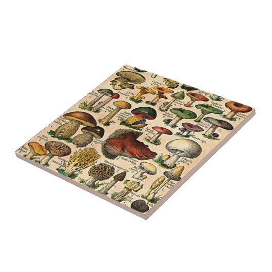 Vintage Pilz-Führer-Fliese Fliese (Seite)