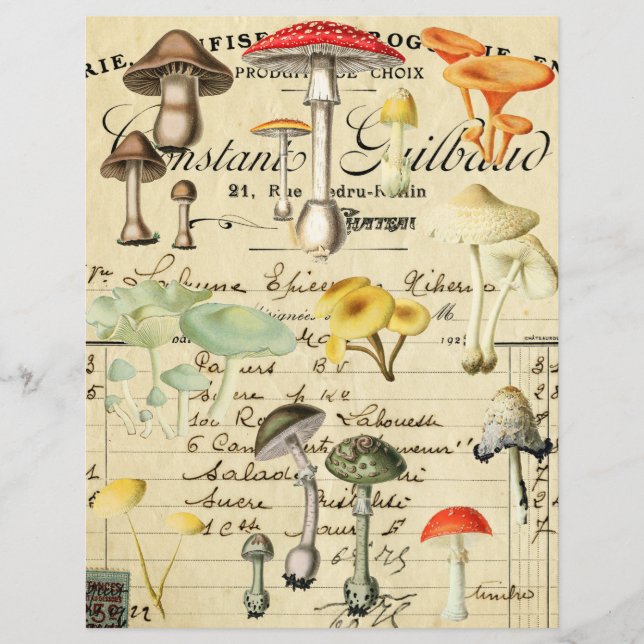 Vintage Pilz Fungi Collage Blatt  (Vorderseite)