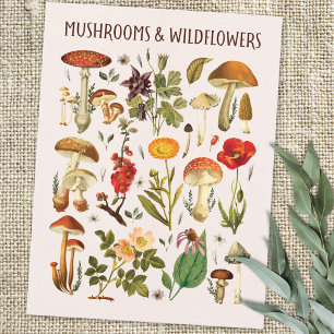 Vintage-Pilz- und Wildblumen-Chart-Wandkunst Postkarte