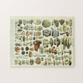 Vintage Pilzbilder von Adolphe Millot Puzzle (Horizontal)