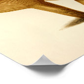 Vintage Pilze 1861 Art Print Yellow Cap Poster (Ecke)