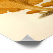 Vintage Pilze 1861 Art Print Yellow Fungus Poster (Ecke)