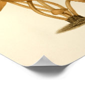 Vintage Pilze 1861 Kunstdruckbraun Poster (Ecke)