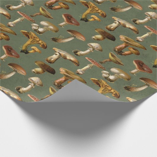 Vintage Pilze auf Grün Geschenkpapier (Ecke)