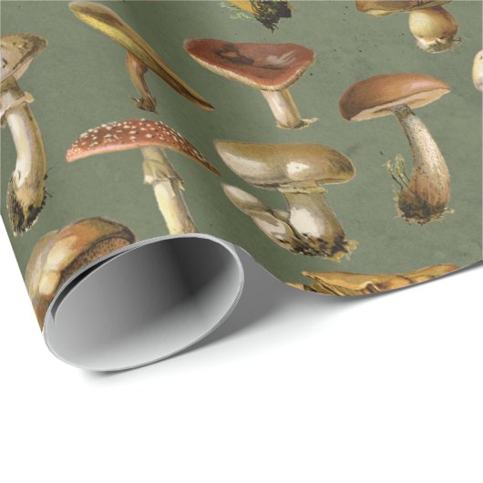 Vintage Pilze auf Grün Geschenkpapier (Rolleneckpunkt)