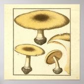 Vintage Pilze aus Brot Poster (Vorne)