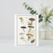 Vintage Pilze aus der FeuerwaldIllustration Postkarte (Stehend Vorderseite)