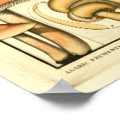 Vintage Pilze Braun Gelb Französische Kunst Poster (Ecke)