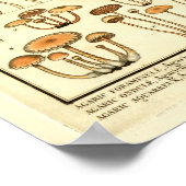 Vintage Pilze Brown Cap Französische Kunst drucken Poster (Ecke)