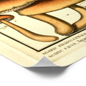 Vintage Pilze Brown Cap Französische Kunst drucken Poster (Ecke)