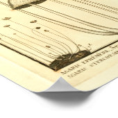 Vintage Pilze Brown White French Art Print Poster (Ecke)