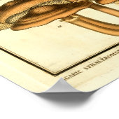 Vintage Pilze Brown White French Art Print Poster (Ecke)