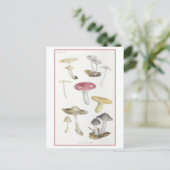 Vintage Pilze der BuchenwaldIllustration Postkarte (Stehend Vorderseite)