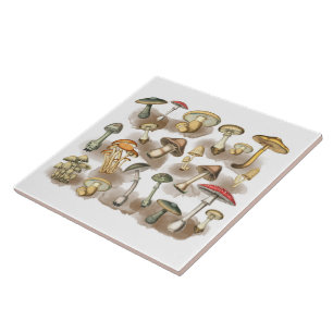 Vintage Pilze des rustikalen Waldes Fliese