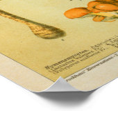 Vintage Pilze Pilze-Varieté-Stuhlhocker drucken Poster (Ecke)