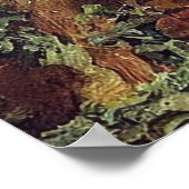 Vintage Pilze Poster (Ecke)