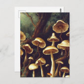 Vintage Pilze Postkarte (Vorne/Hinten)