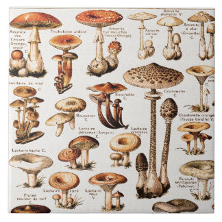 Vintage-Pilze von Adolphe Millot Fliese