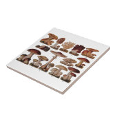 Vintage Pilzfamilie Botanische Printwerbung Fliese (Seite)