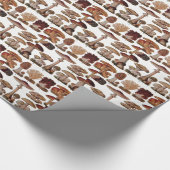 Vintage Pilzfamilie Botanische Printwerbung Geschenkpapier (Ecke)