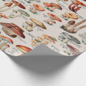 Vintage Pilzfungus-Illustration I Geschenkpapier (Ecke)