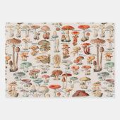 Vintage Pilzfungus-Illustration I Geschenkpapier Set (Vorderseite 2)