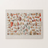 Vintage Pilzfungus-Illustration I Puzzle (Horizontal)