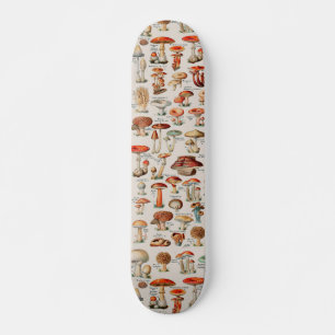 Vintage Pilzfungus-Illustration I Skateboard