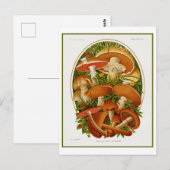Vintage Pilzgruppe Postkarte (Vorne/Hinten)