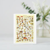 Vintage Pilzimitat Botanische Illustration Postkar Postkarte (Stehend Vorderseite)