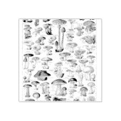 Vintage Pilzkarte Kunstmuseum Gummistempel (Prägung)