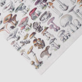 Vintage Pilzkollektion Dekoupage Seidenpapier (Detail)