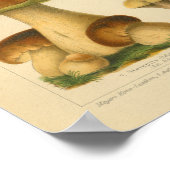 Vintage Pilzpilze Varieté Gelbbraun Poster (Ecke)